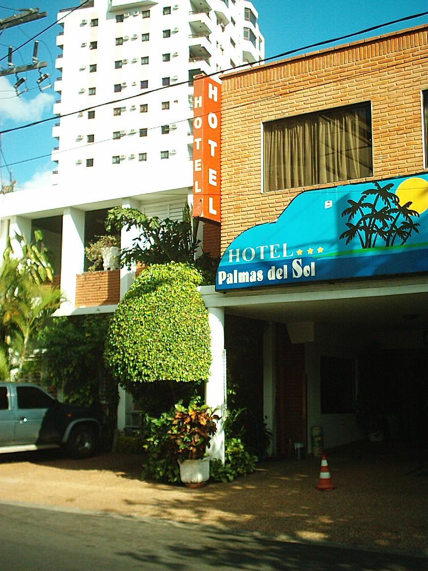 Hotel Palmas Del Sol Asunción Exterior foto